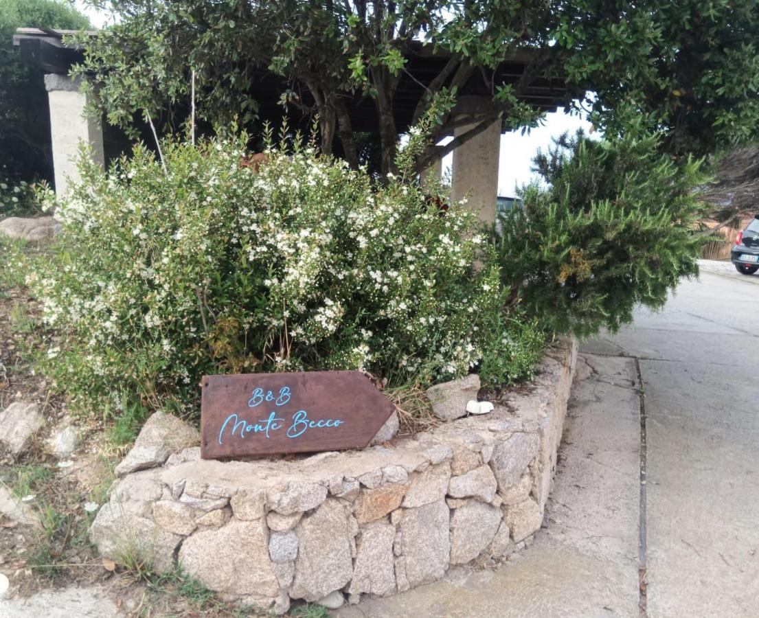 Monte Becco Panoramic Rooms Santa Teresa Gallura Exterior photo